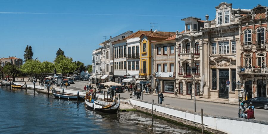 From Porto: Full-Day Trip to Coimbra & Aveiro with Boat Ride - A 90-minute lunch break in the Coimbra District