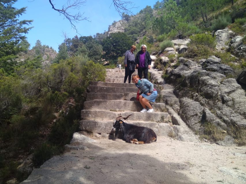 From Porto: Guided tour to Gerês Park - Key points to know before you go