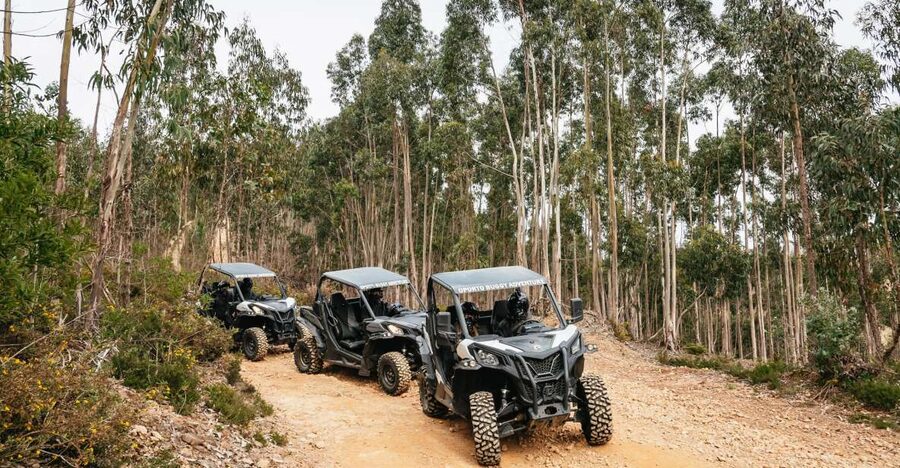 From Porto: Off-Road Buggy Adventure - Key points at a glance