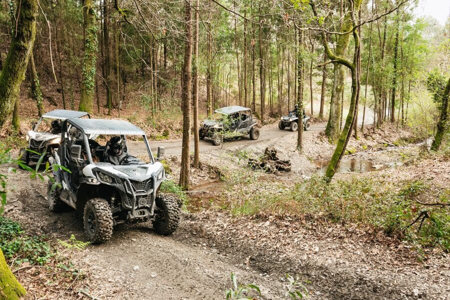 From Porto: Off-Road Buggy Adventure - Safety, skill level, and the real meaning of off-road