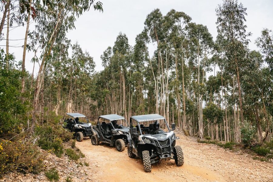 From Porto: Off-Road Buggy Adventure - Castro Mozinho, a Roman site with a rough-road arrival