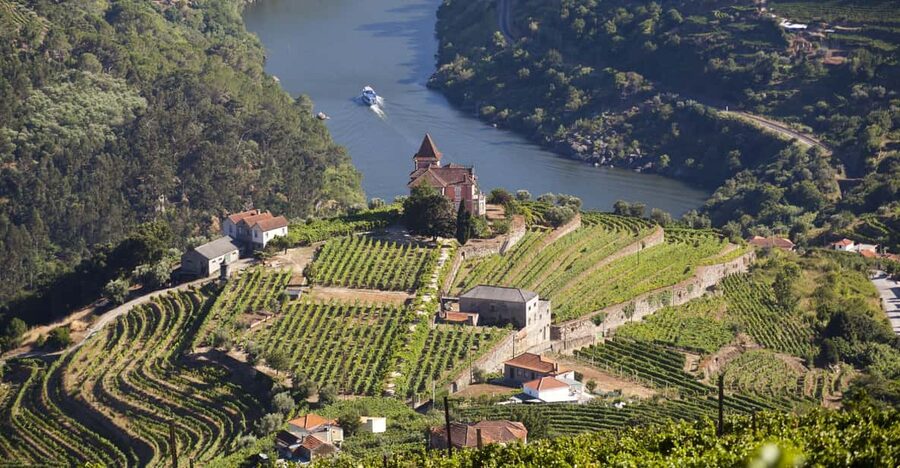 From Porto: Premium Douro Valley Small-Group Wine Tour - A quiet hour on the Douro River