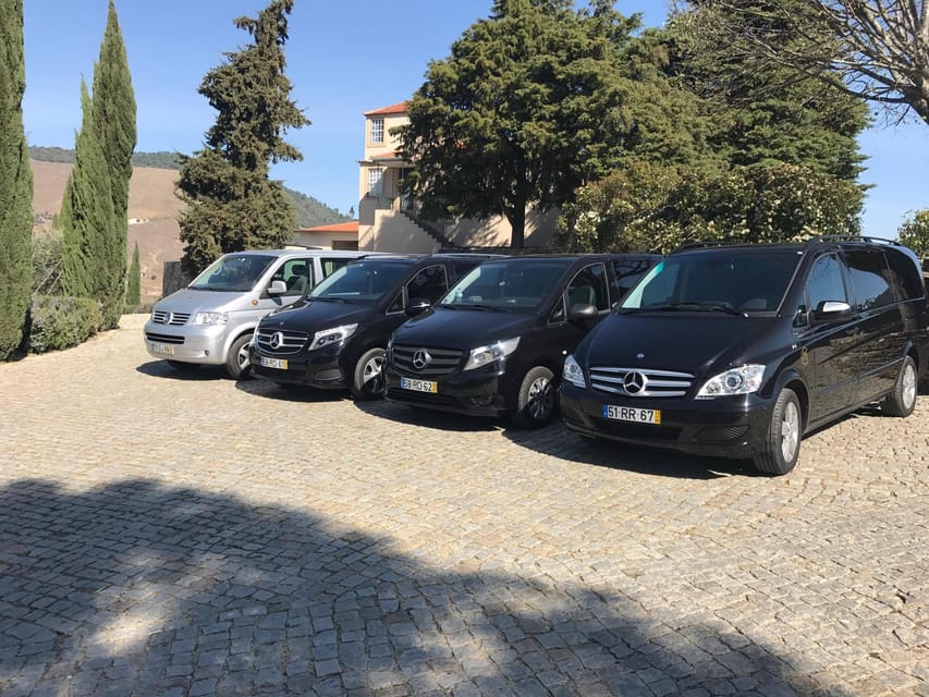 From Porto: Premium Douro Valley Small-Group Wine Tour - The second estate and another view of production