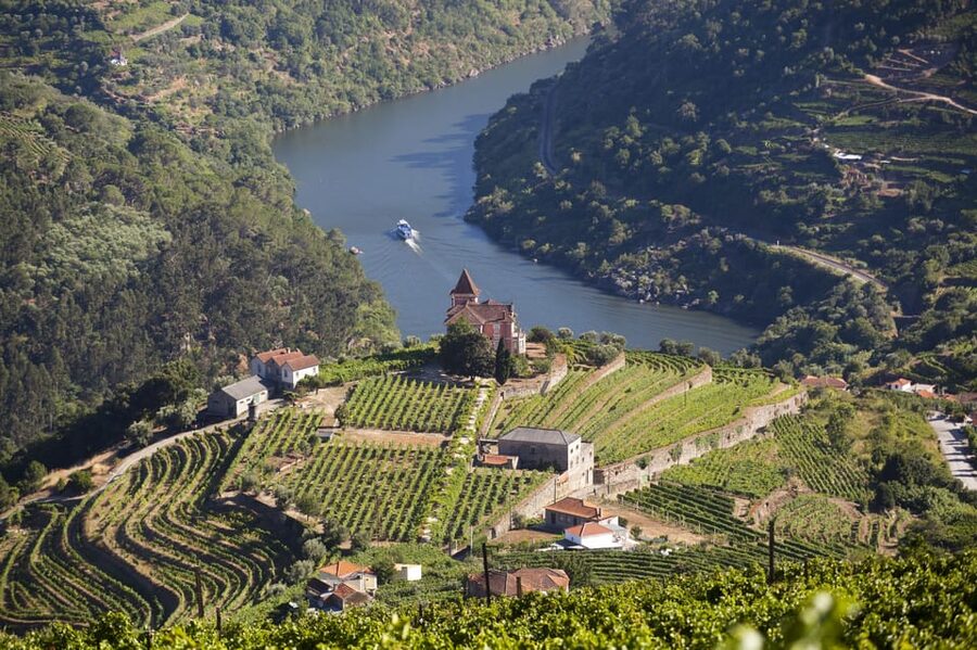 From Porto: Premium Douro Valley Small-Group Wine Tour - Why the small group changes the experience