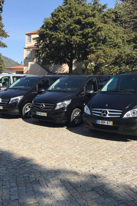 From Porto: Premium Douro Valley Small-Group Wine Tour - A premium lunch with a dramatic old tradition