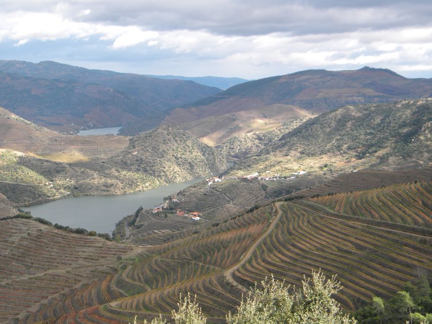 From Porto: Private Douro Valley Tour with Booking Service - Comfort, accessibility, and the long road