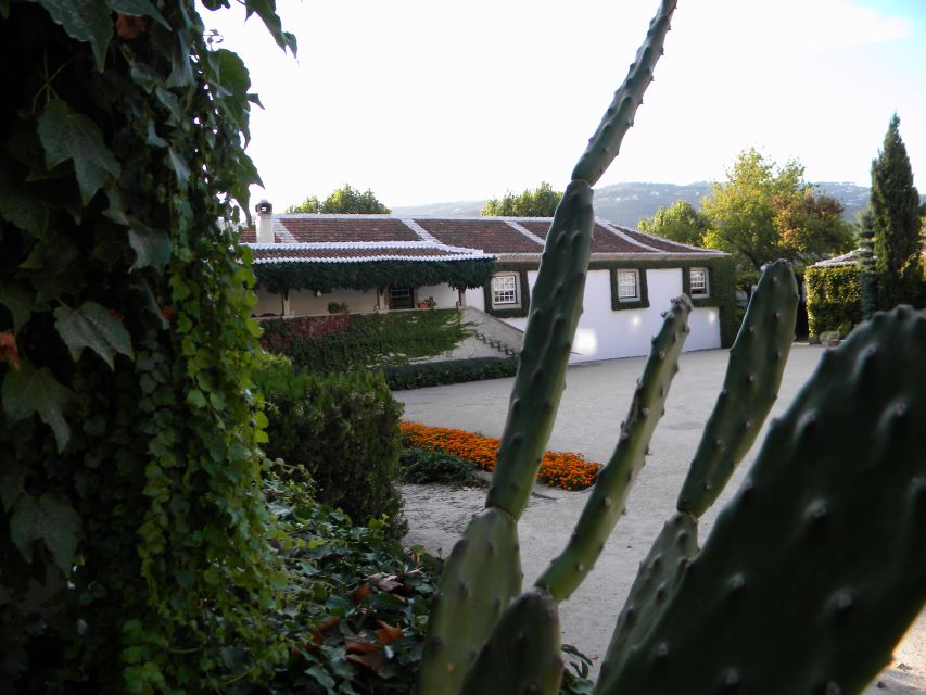 From Porto: Private Douro Valley Tour with Booking Service - Three hours around Pinhão