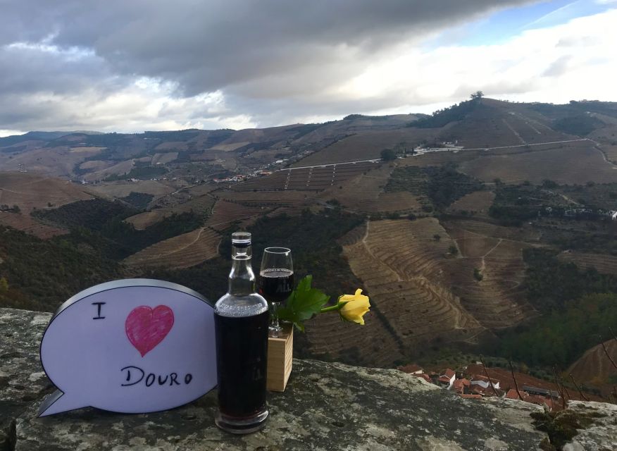 From Porto: Private Douro Valley Tour with Cruise and Wine - What the guide adds to the experience