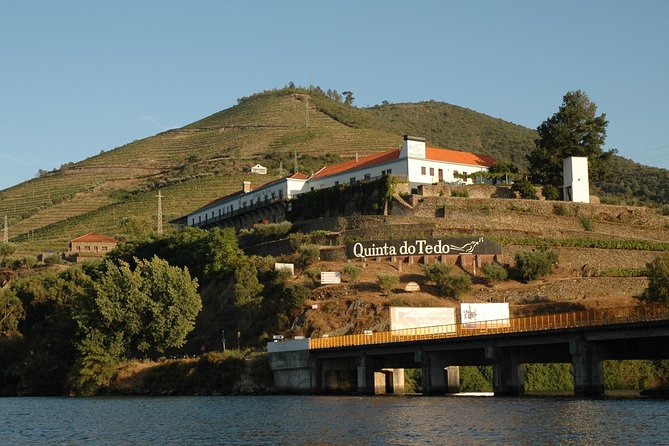 From Porto Private Tour Douro Valley two Wineries, Lunch and Boat. - A long but rewarding day from Porto