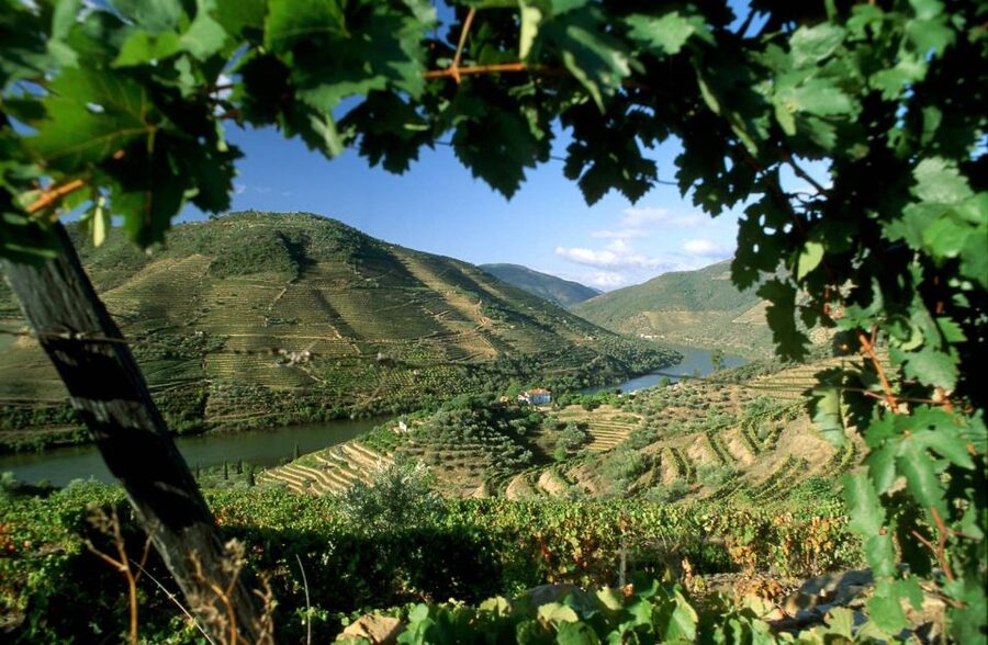 From Porto: Régua to Porto River Cruise with Lunch on Board - Why this Douro day works so well