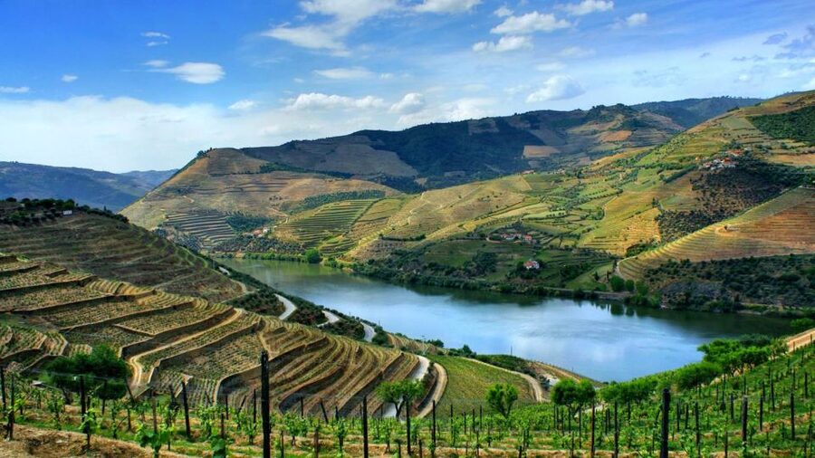 From Porto: Régua to Porto River Cruise with Lunch on Board - A short pause in Peso da Régua