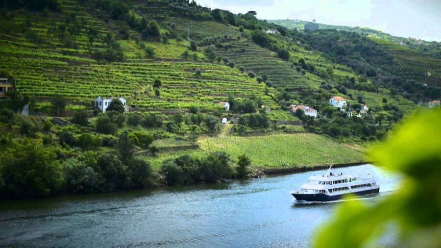 From Porto: Régua to Porto River Cruise with Lunch on Board - Passing through Carrapatelo and Crestuma-Lever dams
