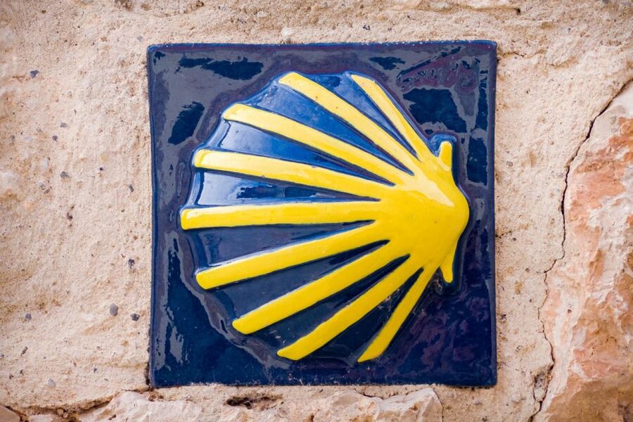 From Porto: Santiago de Compostela Cathedral Private Tour - Walking the old town and the Camino tradition