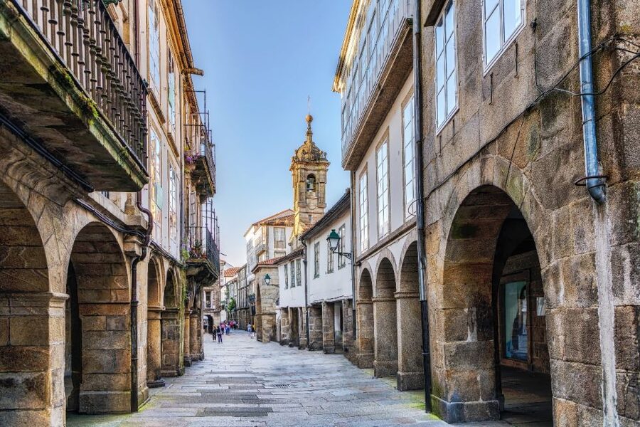 From Porto: Santiago de Compostela Cathedral Private Tour - Who should choose this private day trip