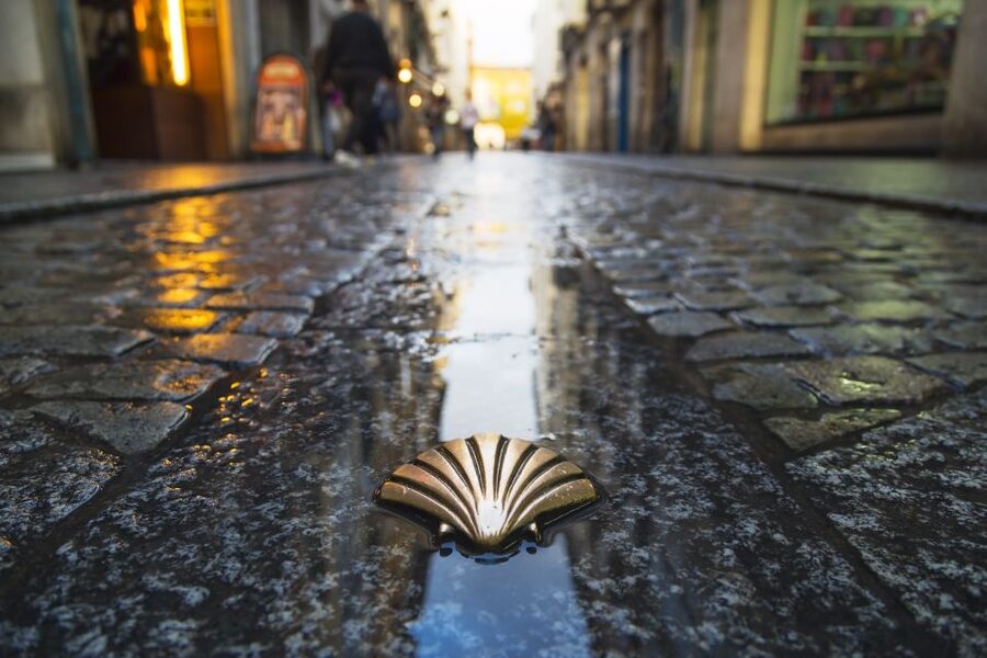 From Porto: Santiago de Compostela Full Day Tour - The Porto meeting point and the long ride north