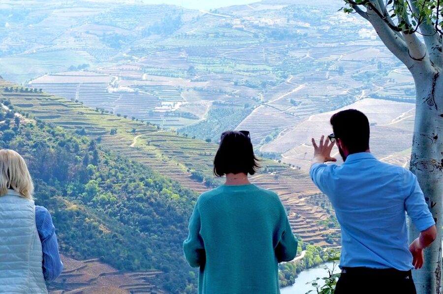 From Porto: Small-Group Douro Valley Wine Tour Lunch & Boat - Quiet viewpoints before the wineries