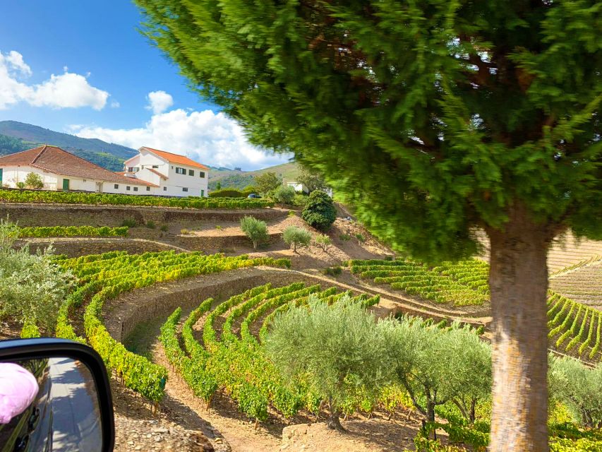 From Porto: Small-Group Douro Valley Wine Tour Lunch & Boat - A private boat on the Douro River