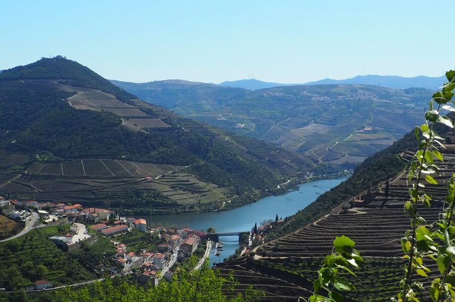 From Porto: Small-Group Douro Valley Wine Tour Lunch & Boat - The long day and the practical tradeoffs