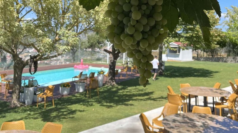 From Porto: Tastings at 2 Wineries, Chef's Lunch & Boat Tour - FAQ
