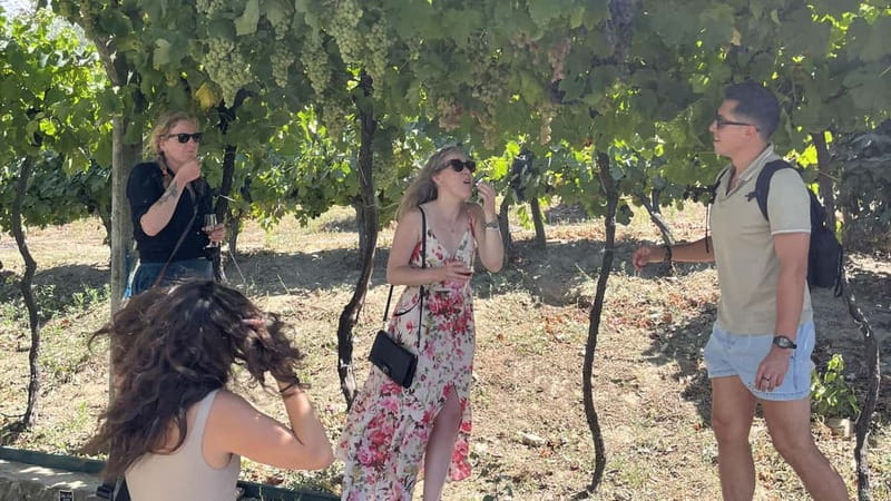 From Porto: Tastings at 2 Wineries, Chef's Lunch & Boat Tour - Eleven wines, from dry D.O.C. bottles to Port