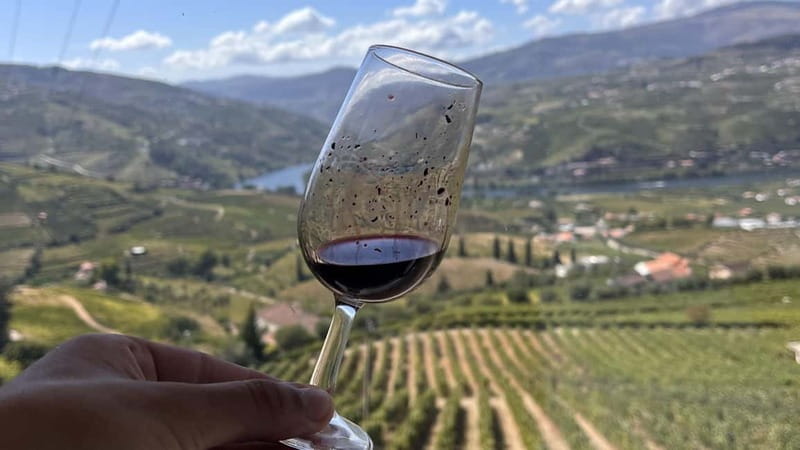 From Porto: Tastings at 2 Wineries, Chef's Lunch & Boat Tour - The value of $153 per person