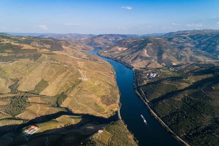 From Porto: Wine Tasting with Lunch at a Quinta, Cruise, and Train Ride - Five wines at Coimbra de Mattos, dating to 1858