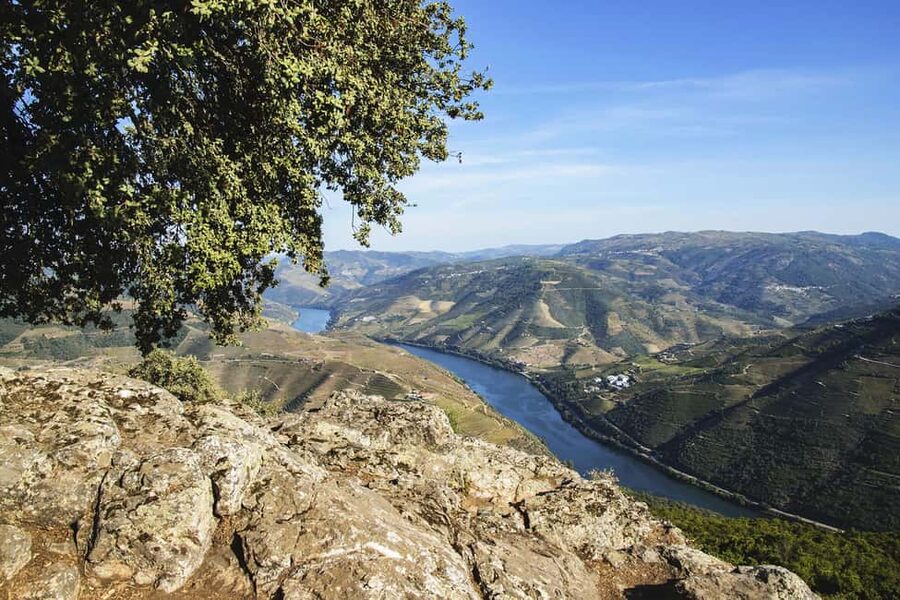 From Porto: Wine Tasting with Lunch at a Quinta, Cruise, and Train Ride - Free time in Pinhão before the train