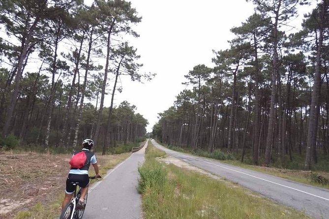 From Porto with view to Gaia: Private Bike Tour #DuckSideOfPorto - Is three hours enough for this route?
