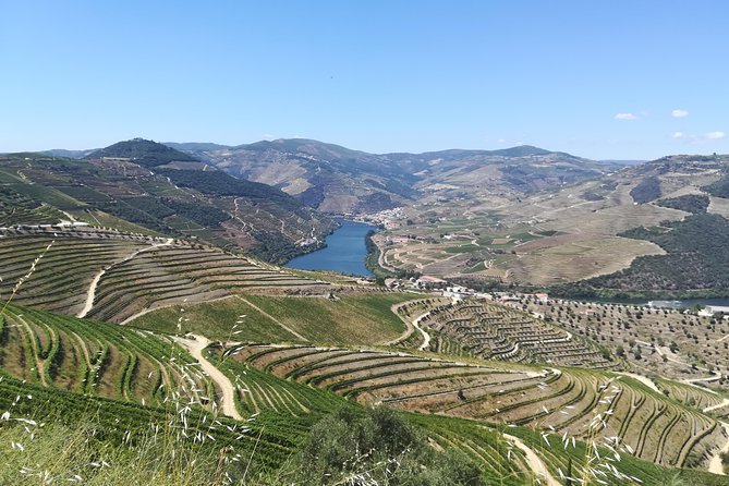 Full-Day Porto and Douro Valley Private Wine Tour with Lunch - Key points at a glance