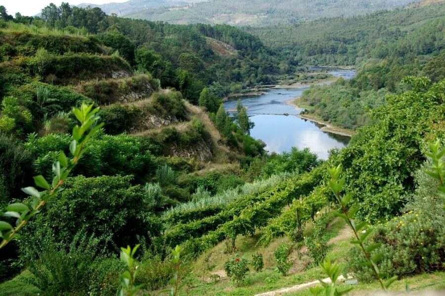 Full Day Tour in Peneda Gerês National Park - What the $171 price really buys