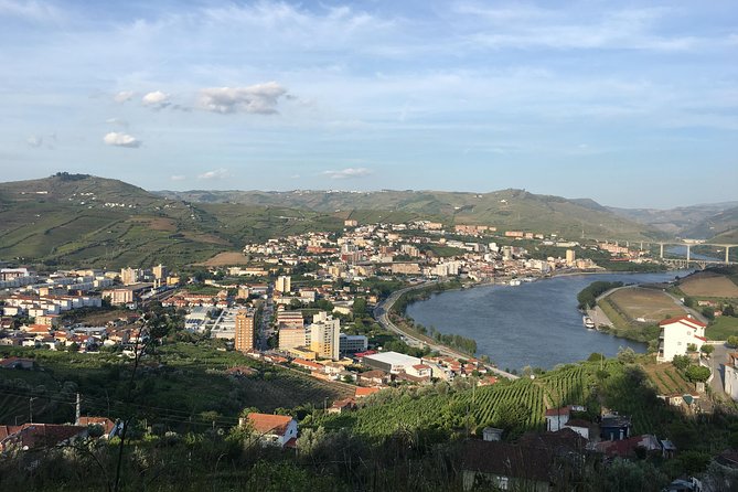 Full Day, Wine Tasting, River Cruise and Lunch from Porto - A one-hour boat trip near Pinhão