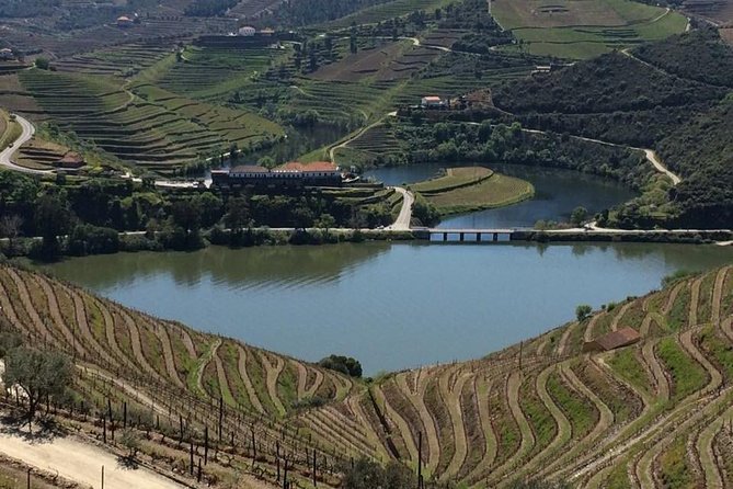 Full Day, Wine Tasting, River Cruise and Lunch from Porto - Practical details that can save trouble
