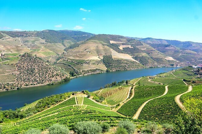 Genuine Douro Valley Tour: Visit 2 Wineries, Lunch & River Cruise - Why the Douro Valley deserves a full day from Porto