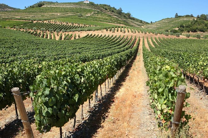 Genuine Douro Valley Tour: Visit 2 Wineries, Lunch & River Cruise - Pinhão and the tiled railway station