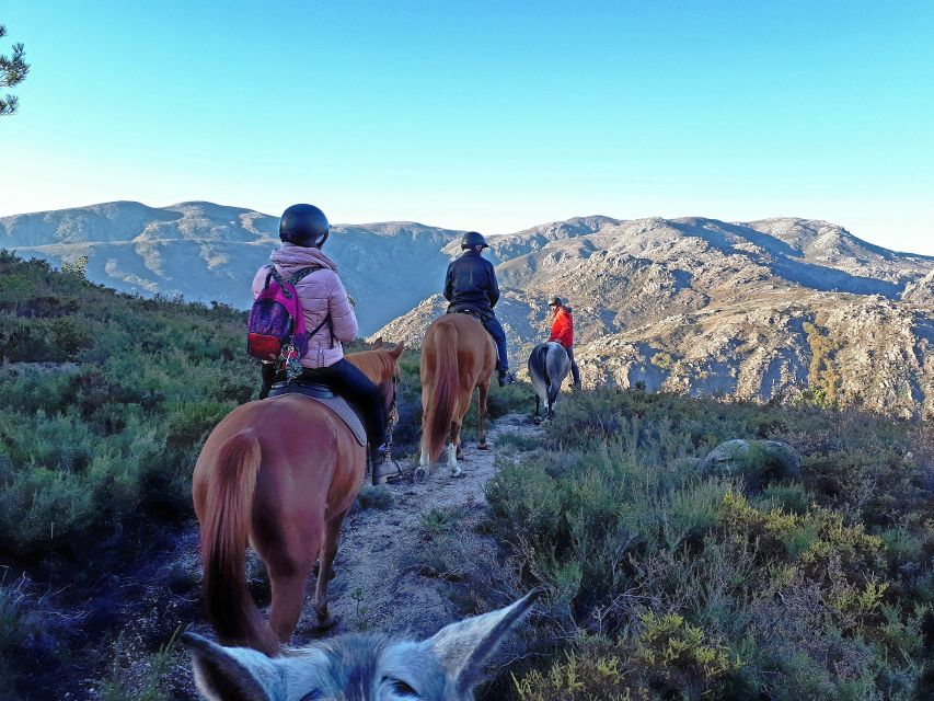 Gerês Braga: Horseback Ride in Peneda Gerês National Park - Why horseback is a good way to see Gerês