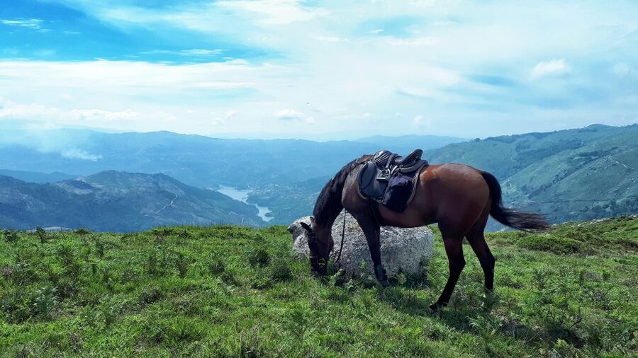 Gerês Braga: Horseback Ride in Peneda Gerês National Park - Following the old mountain trails