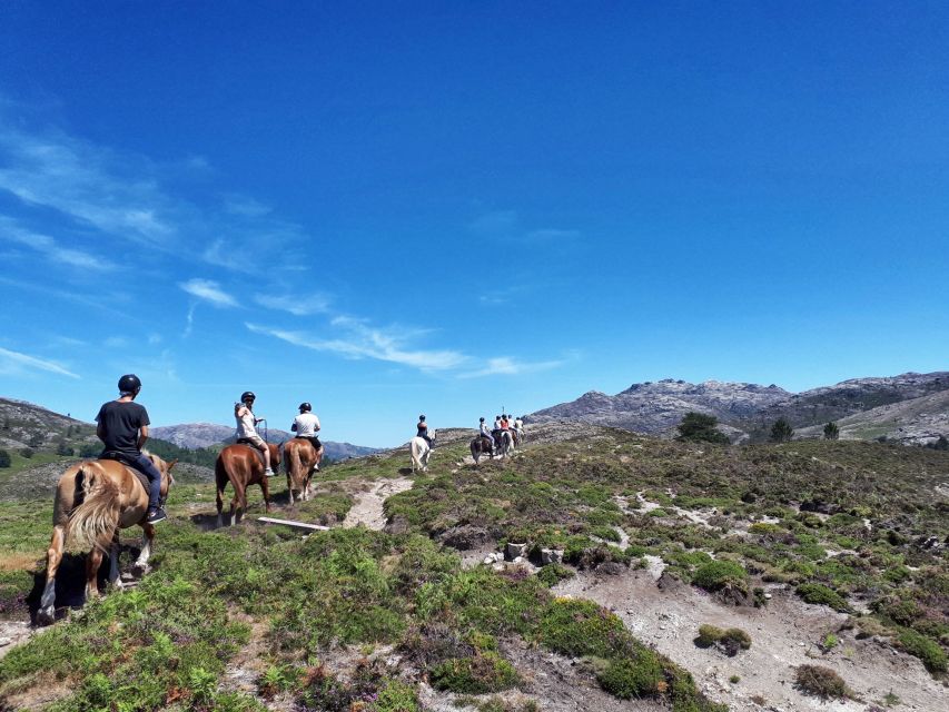 Gerês Braga: Horseback Ride in Peneda Gerês National Park - What the two-hour timing really gives you