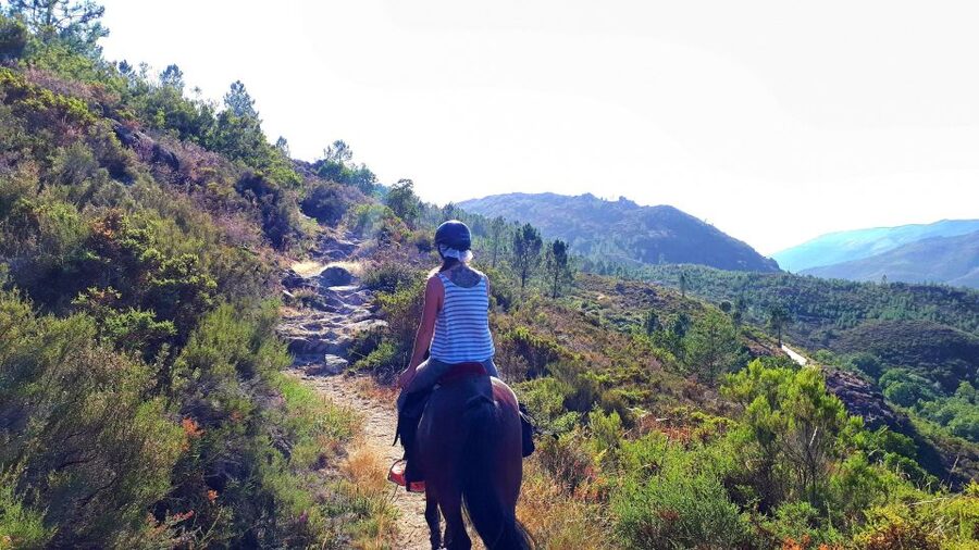 Gerês Braga: Horseback Ride in Peneda Gerês National Park - Who should book this ride