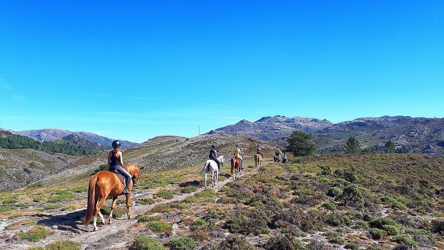 Gerês Braga: Horseback Ride in Peneda Gerês National Park - Meeting the horses in Campo do Gerês
