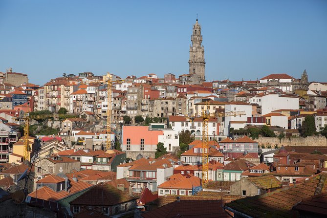 Half Day City Tour with Six Bridges Cruise and Wine Tasting - The Six Bridges cruise on the Douro