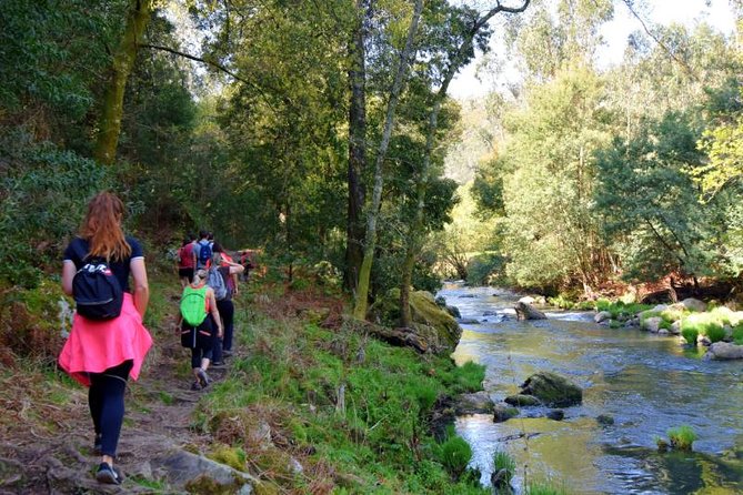Half-day Hike & Picnic with Dog Love in Porto's Mountains - Why this half-day escape works so well