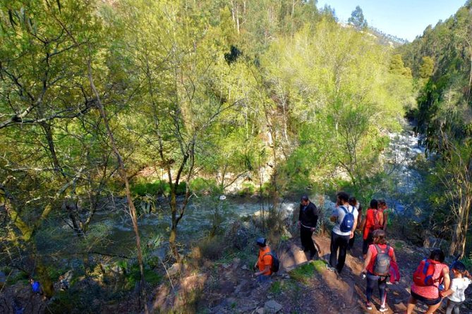 Half-day Hike & Picnic with Dog Love in Porto's Mountains - Ricardo’s guiding style