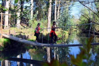 Half-day Hike & Picnic with Dog Love in Porto’s Mountains
