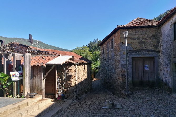 Half-day Hike & Picnic with Dog Love in Porto's Mountains - Is $59.28 a fair price?