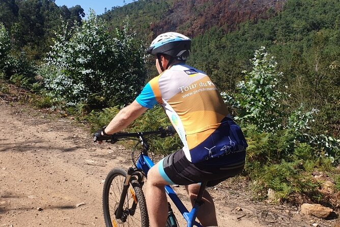 Half day Mountain Bike Tour in Porto - Choosing a 20, 30, or 50 kilometer route