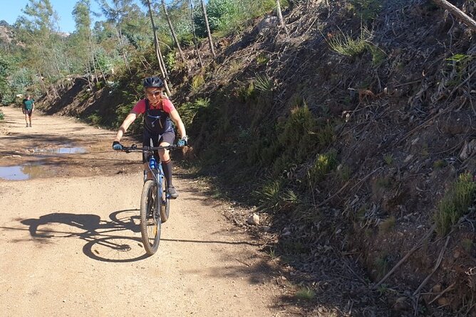 Half day Mountain Bike Tour in Porto - Practical details that affect your morning