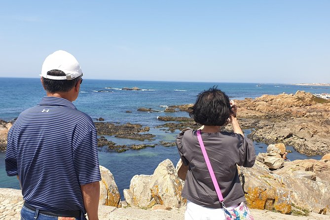 Half Day Porto & Beach Side Small-Group Tour- Different Tastings - Matosinhos adds a fishing-town feel