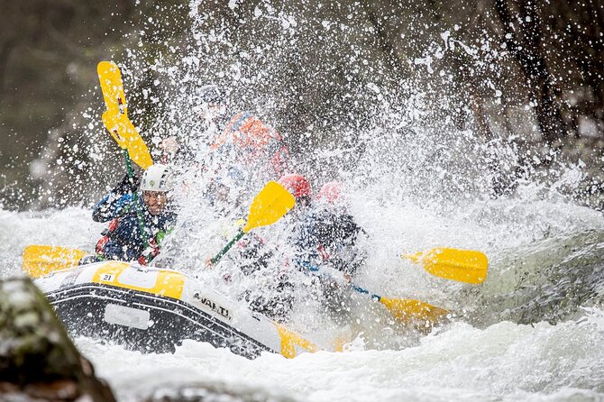 Half-Day Rafting on the Paiva River in Arouca - Who should book this Paiva River trip