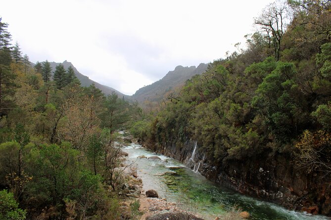 Hidden Gems of Peneda-Gerês National Park on a Full-Day Tour - Pedro’s guiding style