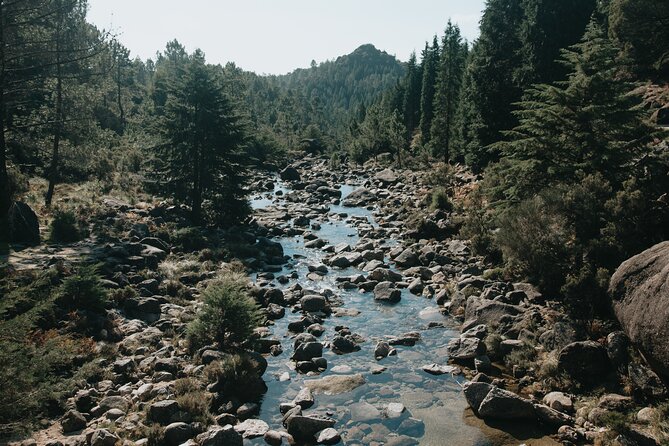 Hidden Gems of Peneda-Gerês National Park on a Full-Day Tour - Weather, timing, and what to pack